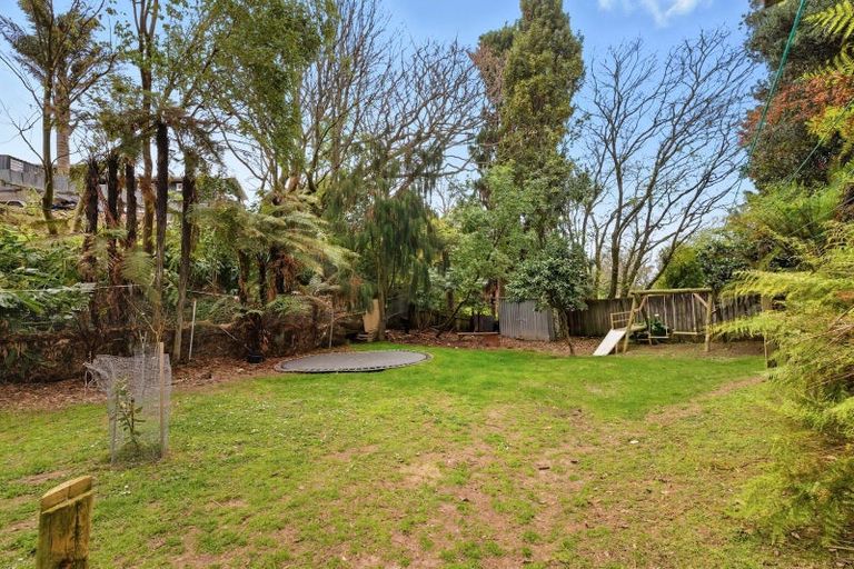 Photo of property in 17 Harrier Street, Parkvale, Tauranga, 3112