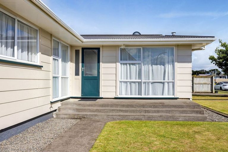 Photo of property in 19 Kamahi Avenue, Hawera, 4610