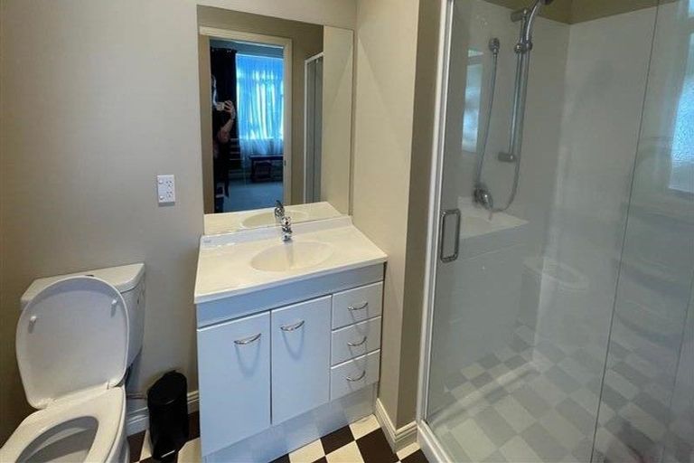 Photo of property in 163 Galloway Street, Hamilton East, Hamilton, 3216