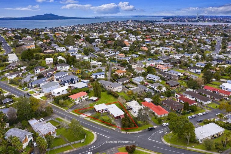 Photo of property in 40 Richards Avenue, Forrest Hill, Auckland, 0620