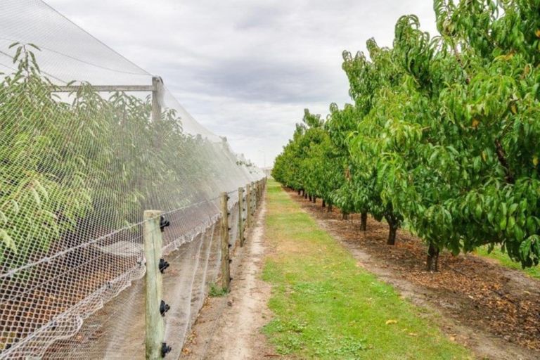 Photo of property in 200 Longlands Road, Longlands, Hastings, 4172