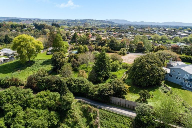 Photo of property in 288 Cambridge Road, Bethlehem, Tauranga, 3110