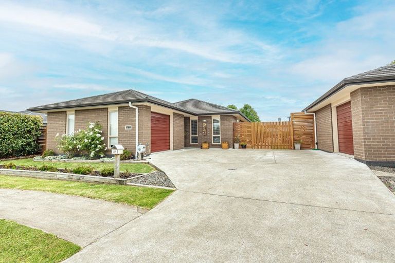 Photo of property in 27 Buckingham Place, Springvale, Whanganui, 4501