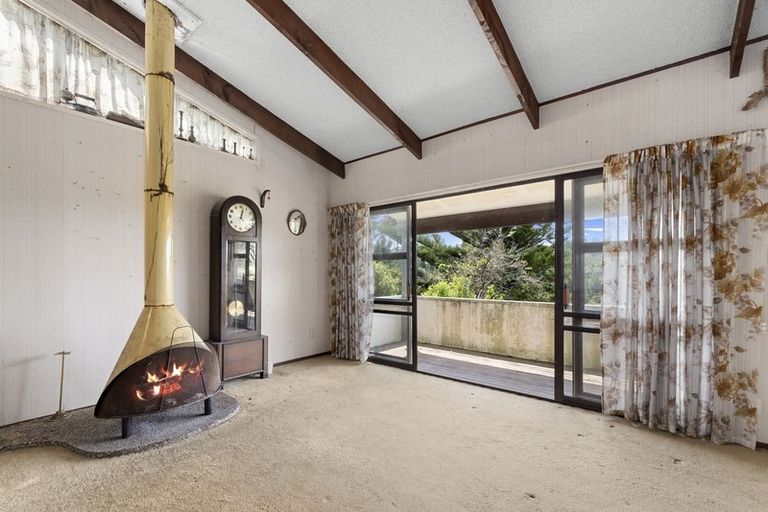 Photo of property in 119 Stredwick Drive, Torbay, Auckland, 0630