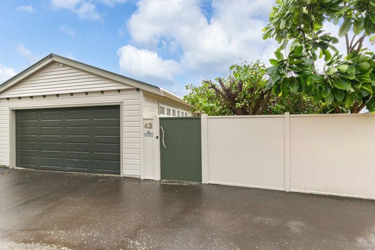 Photo of property in 43 Darlington Road, Miramar, Wellington, 6022