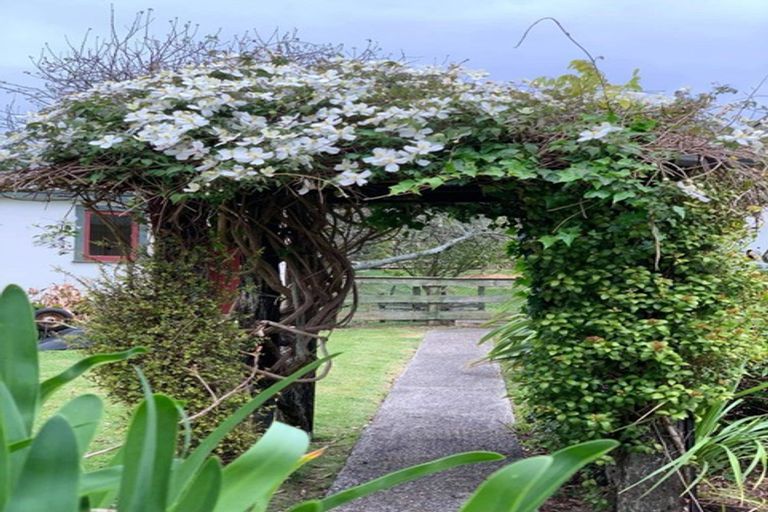 Photo of property in 17 Walmsley Road, Waihi, 3610