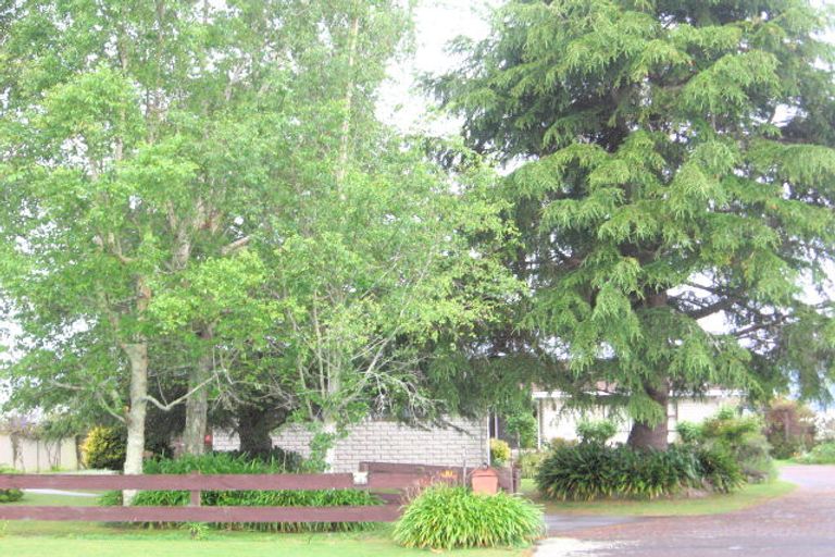 Photo of property in 81 Grant Road, Opotiki, 3122