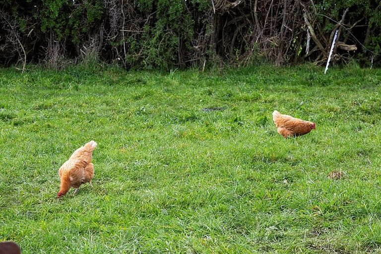 Photo of property in 405 Normanby Road, Okaiawa, Hawera, 4671