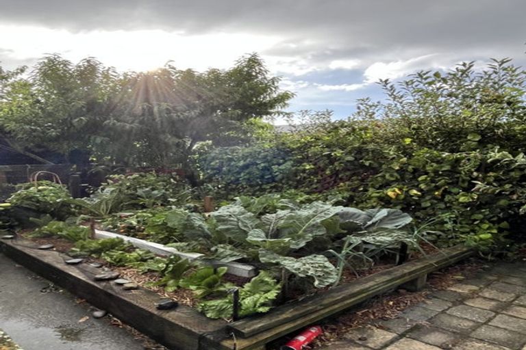 Photo of property in 19 Alloway Street, Fairlie, 7925