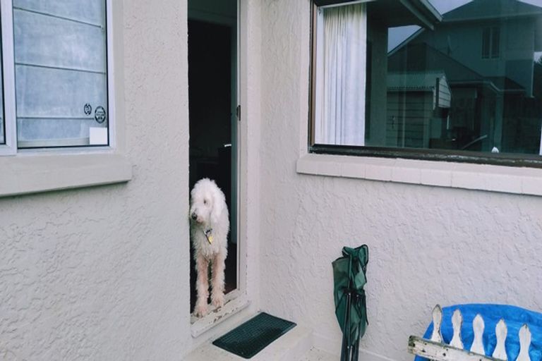 Photo of property in 8 Aston Drive, Waimairi Beach, Christchurch, 8083