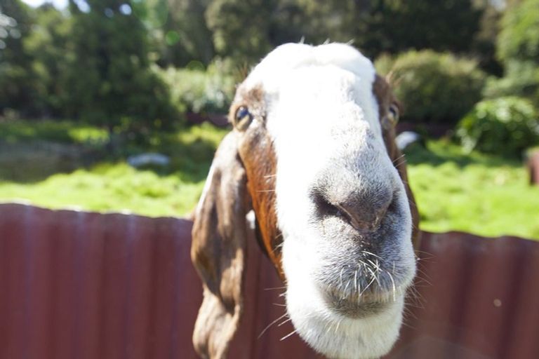 Photo of property in 67 Omaunu Road, Kaeo, 0479