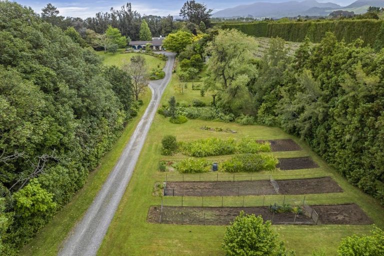 Photo of property in 99b Rea Road, Tahawai, Katikati, 3178