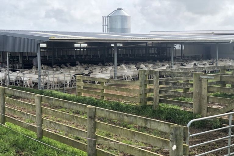 Photo of property in 354 Paraite Road, Paraite, New Plymouth, 4373