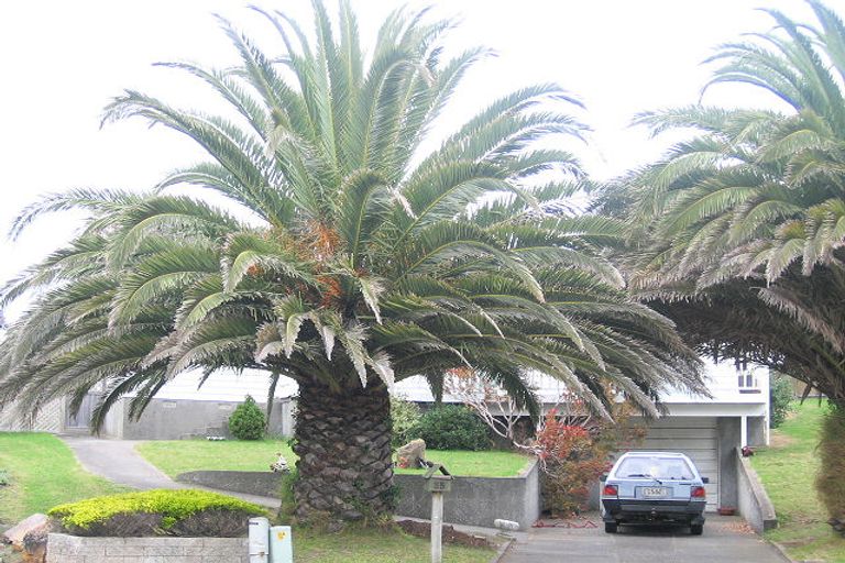 Photo of property in 55 Teoti Street, Paraparaumu Beach, Paraparaumu, 5032