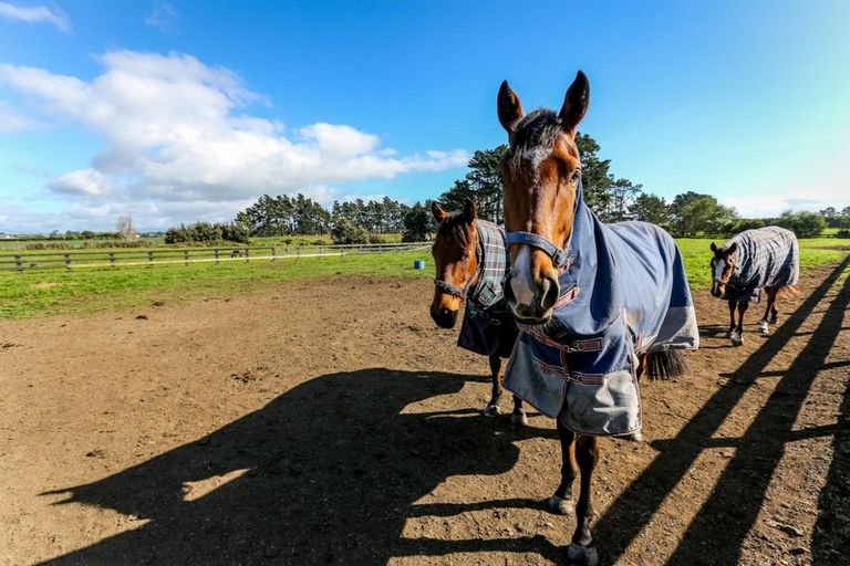 Photo of property in 24 Waipapa Road, Waitara, 4383