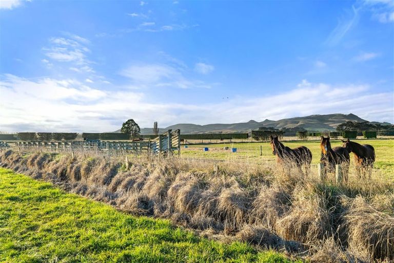 Photo of property in 601 Ridge Road, Motukarara, Christchurch, 7672