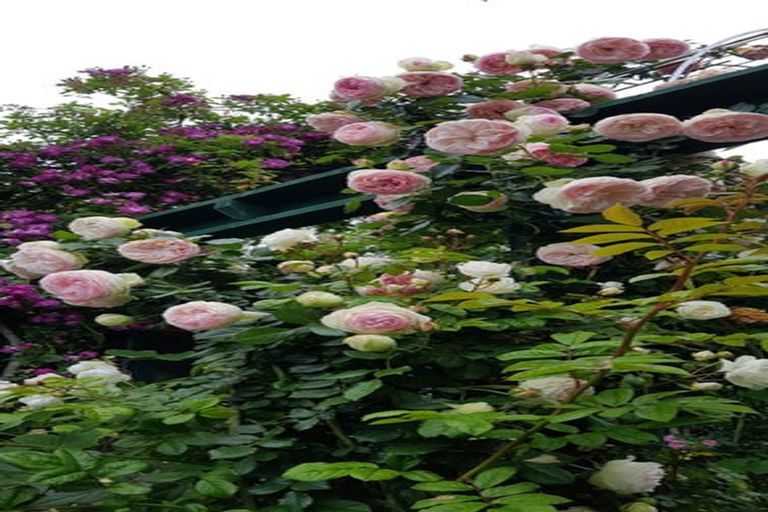 Photo of property in 37 Gillies Crescent, Waimarama, Havelock North, 4294