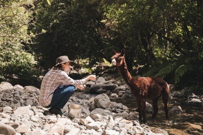 Photo of property in 272 Uruwhenua Road, Upper Takaka, Takaka, 7183