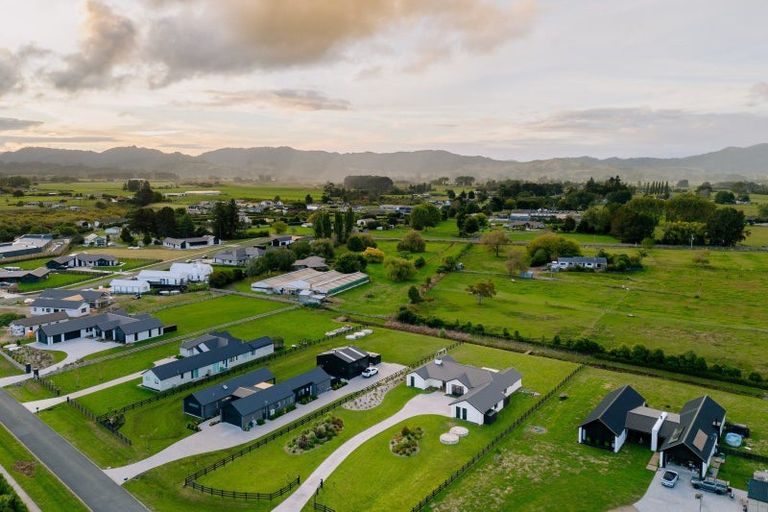 Photo of property in 21 Delta Way, Te Kowhai, Hamilton, 3288