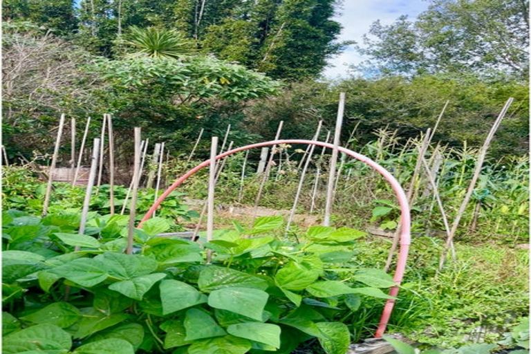 Photo of property in 74 Grigg Street, Kaitaia, 0410