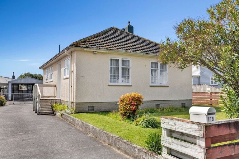 Photo of property in 119 Rangiora Avenue, Roslyn, Palmerston North, 4414