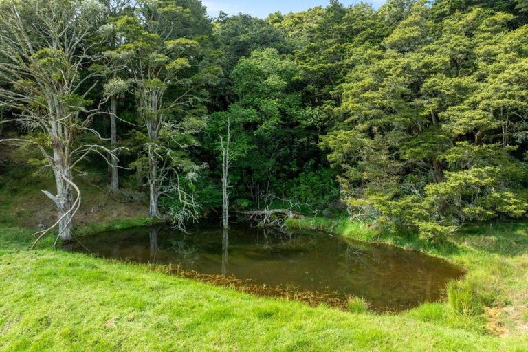 Photo of property in 442 Whananaki Road North, Opuawhanga, Hikurangi, 0181