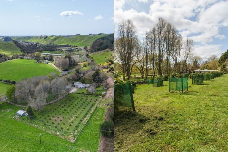 Photo of property in 868 Allport Road, Paengaroa, 3189