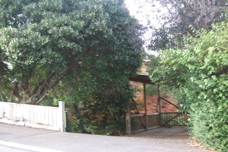 Photo of property in 66 Signal Hill Road, Opoho, Dunedin, 9010