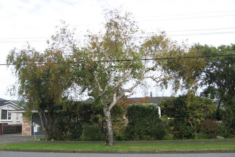 Photo of property in 13 Frederick Street, Avalon, Lower Hutt, 5011