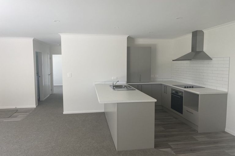 Photo of property in 14b Hinau Street, Maeroa, Hamilton, 3200