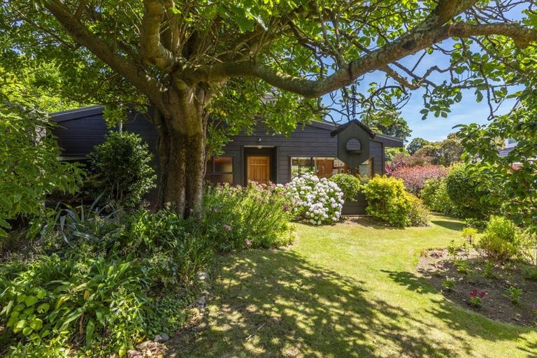 Photo of property in 83 Belvedere Avenue, Waikanae, 5036