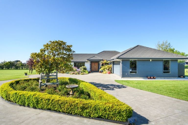 Photo of property in 5 Mallard Avenue, Feilding, 4775