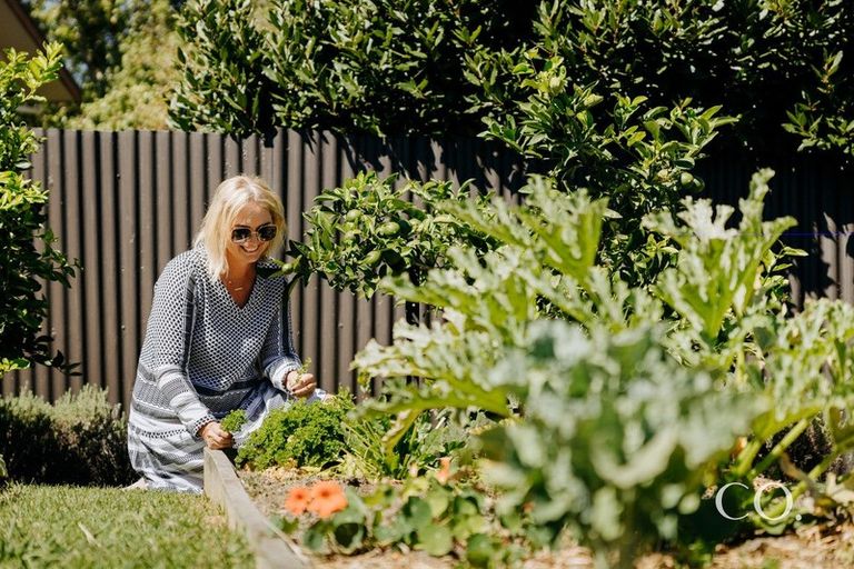 Photo of property in 1 Luke Street, Brookfield, Tauranga, 3110