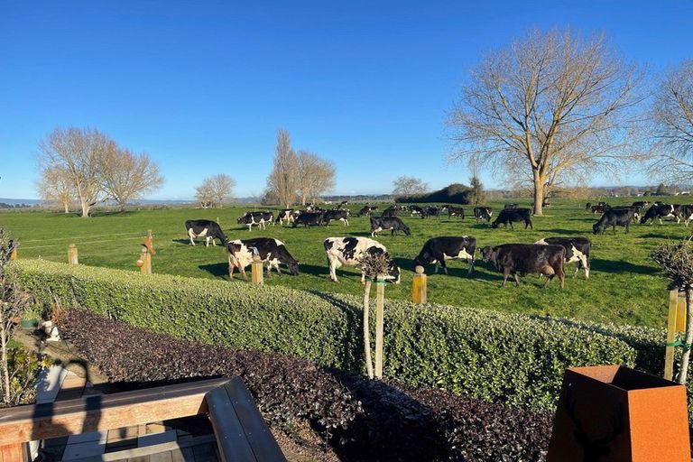 Photo of property in 22 Reynolds Drive, Glenview, Hamilton, 3206