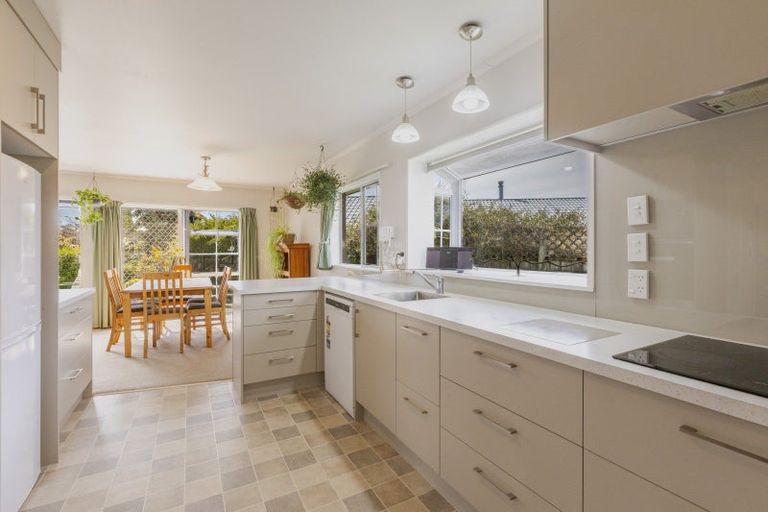 Photo of property in 19c Holyrood Terrace, Waipukurau, 4200