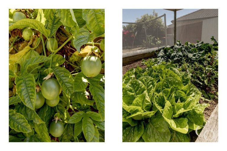 Photo of property in 2 Koro Mews, Papamoa Beach, Papamoa, 3118