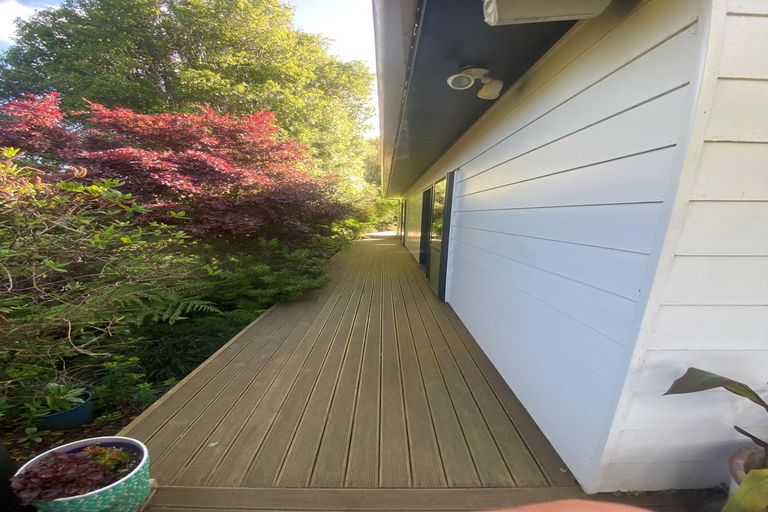 Photo of property in 159 Kereru Road, Glen Massey, Ngaruawahia, 3794