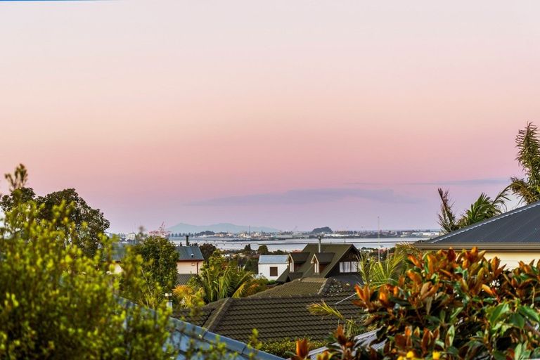 Photo of property in 20 Kaimai View Drive, Ohauiti, Tauranga, 3112