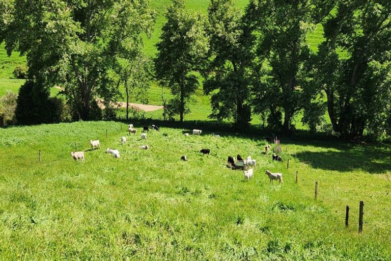 Photo of property in 133 Kaimata Road, Kaimata, Inglewood, 4390