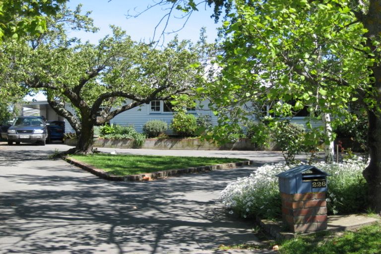 Photo of property in 226 Howick Road, Witherlea, Blenheim, 7201