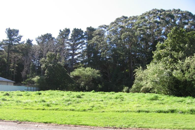Photo of property in 6 Kereru Grove, Featherston, 5710