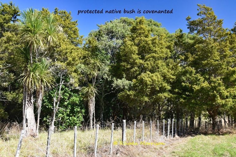 Photo of property in 196 Metcalfe Road, Matakohe, 0593