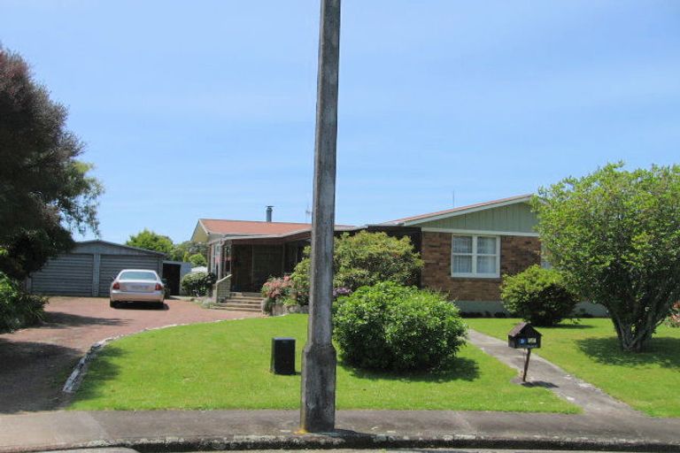 Photo of property in 9 Mace Crescent, Otorohanga, 3900