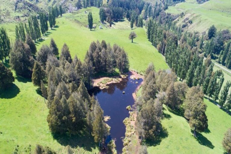 Photo of property in 665 Longacre Road, Okoia, Whanganui, 4582
