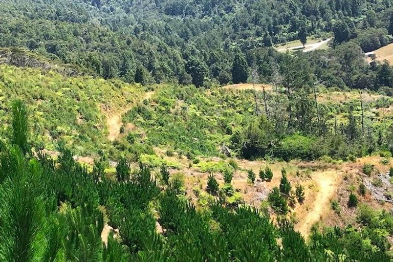 Photo of property in 388 Wentworth Valley Road, Whangamata, 3691