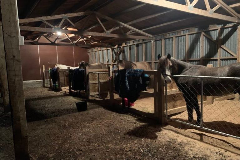 Photo of property in 95 Frentz Road, Pahia, Riverton, 9881