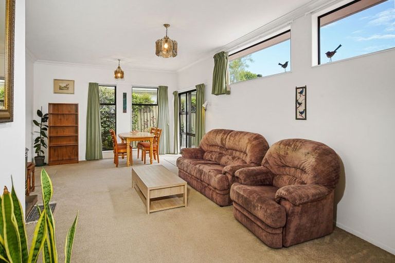 Photo of property in 244b Bridge Street, The Wood, Nelson, 7010