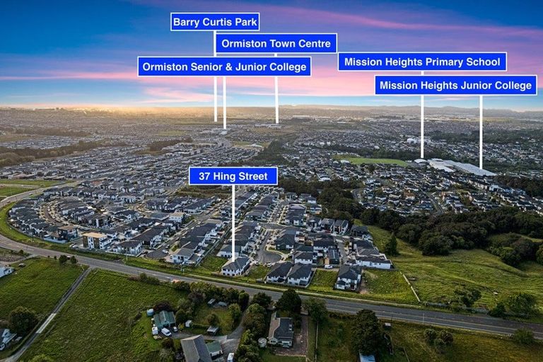 Photo of property in 37 Hing Street, Flat Bush, 2019