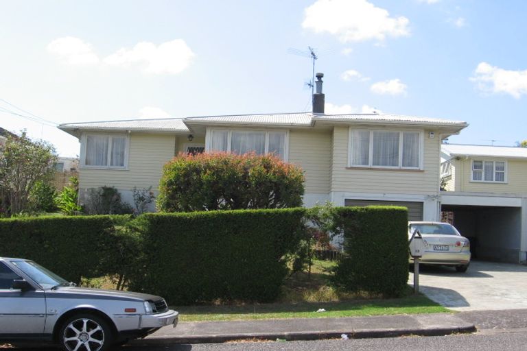 Photo of property in 53 Ellis Avenue, Mount Roskill, Auckland, 1041
