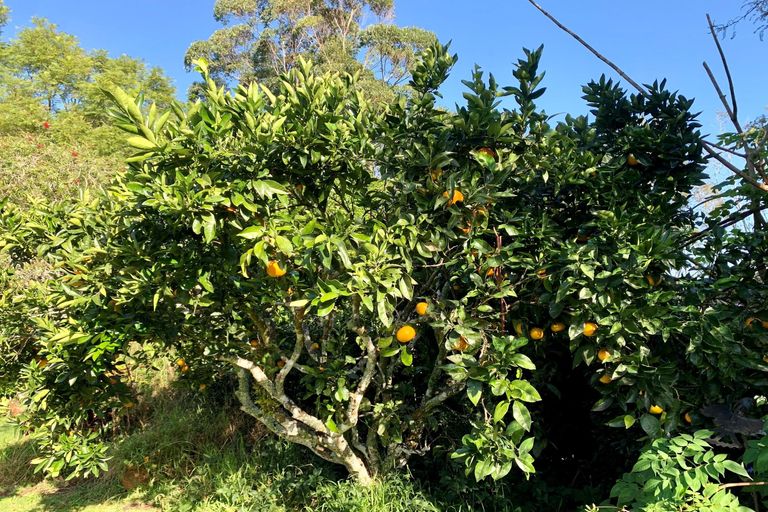 Photo of property in 6719 Mangakahia Road, Kaikohe, 0474